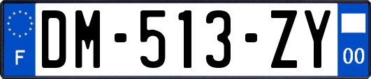 DM-513-ZY