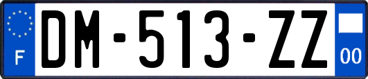 DM-513-ZZ