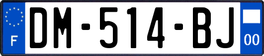 DM-514-BJ