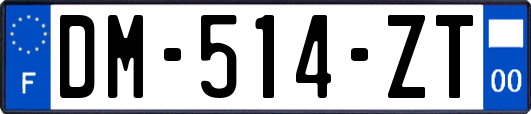 DM-514-ZT