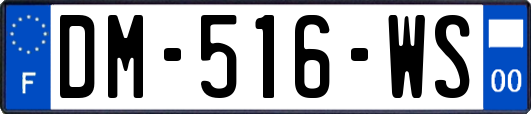 DM-516-WS