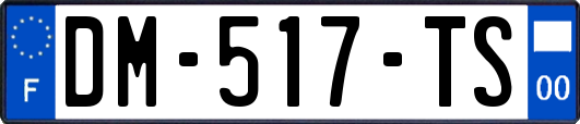 DM-517-TS