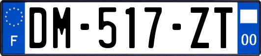 DM-517-ZT