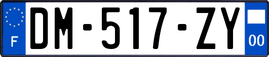 DM-517-ZY