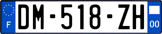 DM-518-ZH