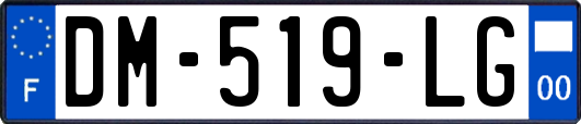 DM-519-LG