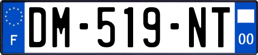 DM-519-NT