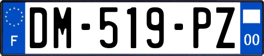 DM-519-PZ