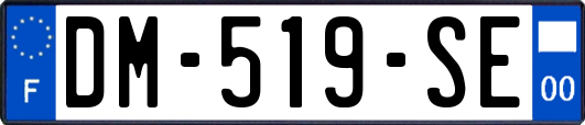 DM-519-SE
