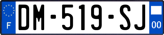 DM-519-SJ