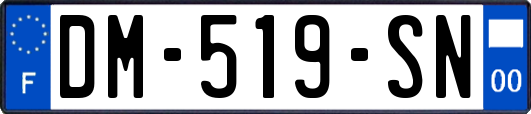 DM-519-SN
