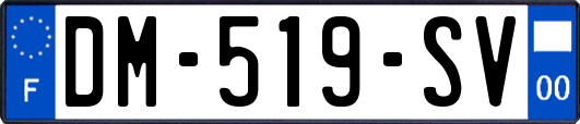 DM-519-SV