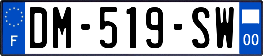 DM-519-SW