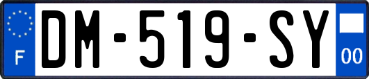 DM-519-SY