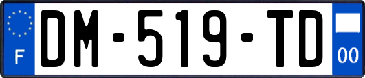 DM-519-TD