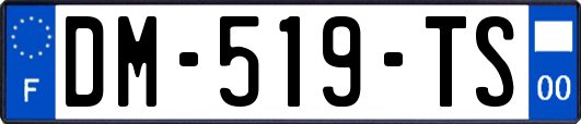 DM-519-TS