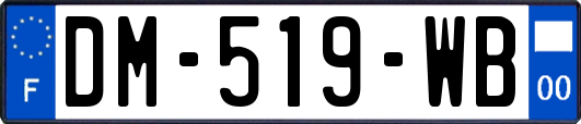 DM-519-WB