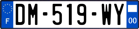 DM-519-WY