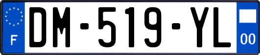 DM-519-YL