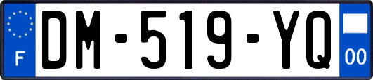 DM-519-YQ