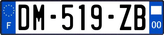 DM-519-ZB