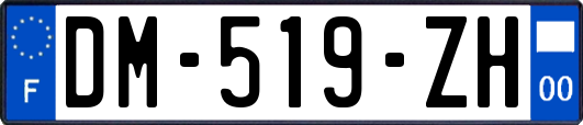 DM-519-ZH