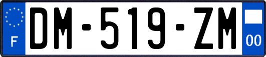 DM-519-ZM