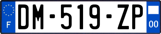 DM-519-ZP