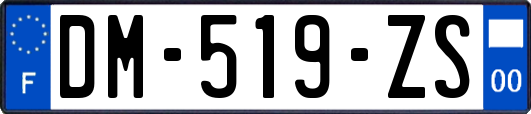 DM-519-ZS