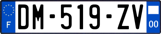 DM-519-ZV