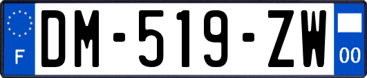 DM-519-ZW