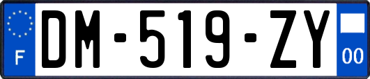 DM-519-ZY