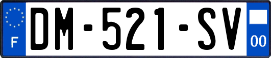 DM-521-SV