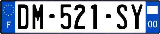 DM-521-SY