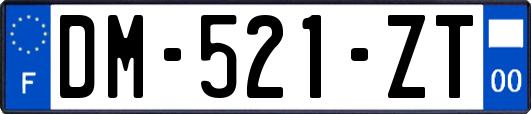 DM-521-ZT