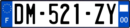 DM-521-ZY