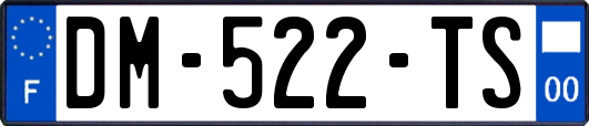 DM-522-TS
