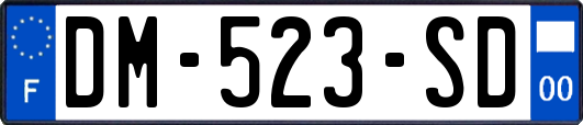DM-523-SD