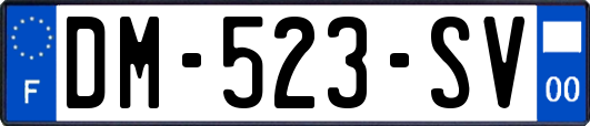 DM-523-SV