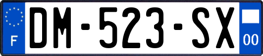 DM-523-SX