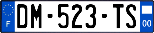 DM-523-TS