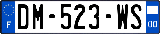 DM-523-WS