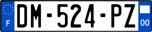 DM-524-PZ