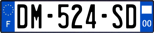 DM-524-SD