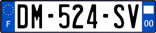 DM-524-SV