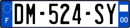 DM-524-SY