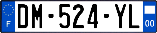 DM-524-YL