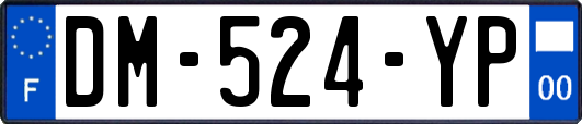 DM-524-YP