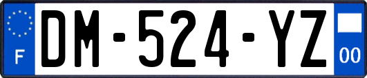 DM-524-YZ