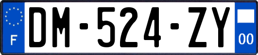 DM-524-ZY